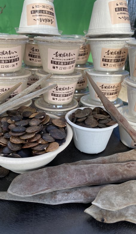 期待手机端APP或者小程序早日到来