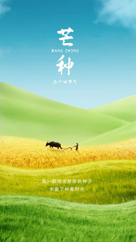 芒种微缩艺术风节气祝福手机海报