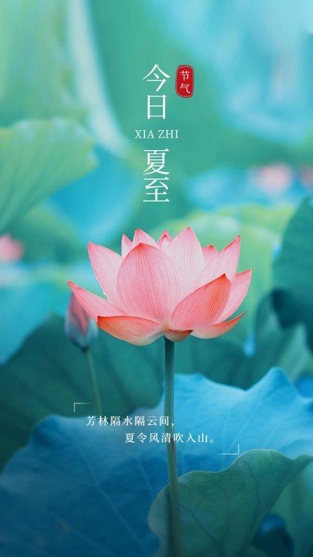 夏至节气祝福排版手机海报