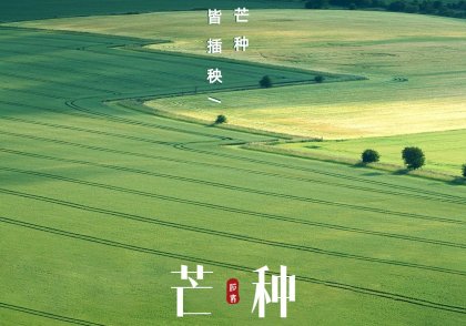 芒种节气祝福实景手机海报