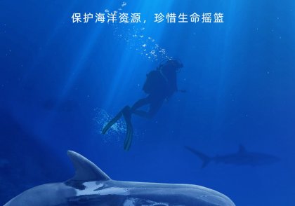 世界海洋日节日宣传手机海报