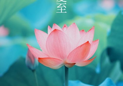 夏至节气祝福排版手机海报