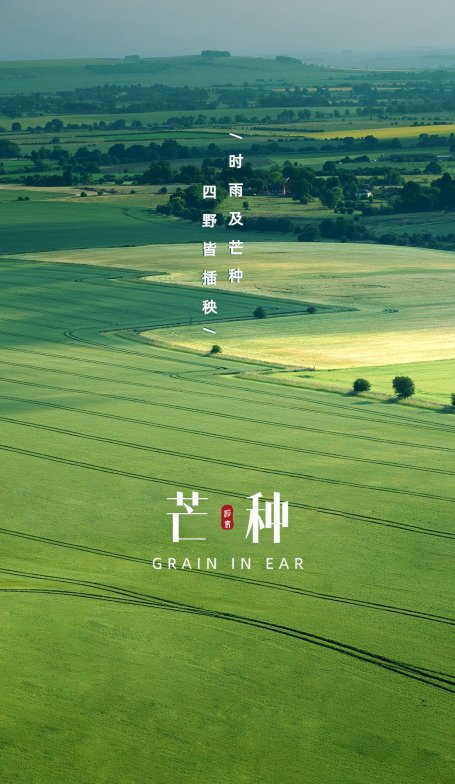 芒种节气祝福实景手机海报