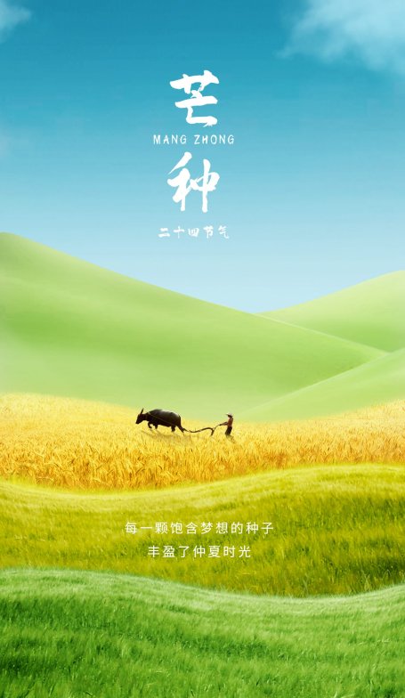 芒种微缩艺术风节气祝福手机海报