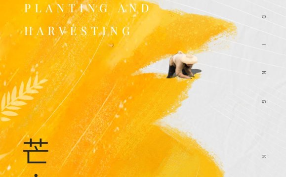 芒种节气祝福企业祝福问候全屏海报