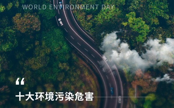 世界环境日节日科普排版手机海报