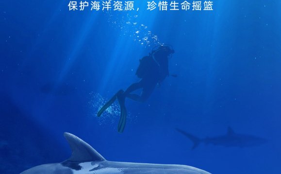 世界海洋日节日宣传手机海报