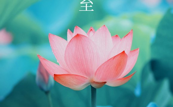 夏至节气祝福排版手机海报